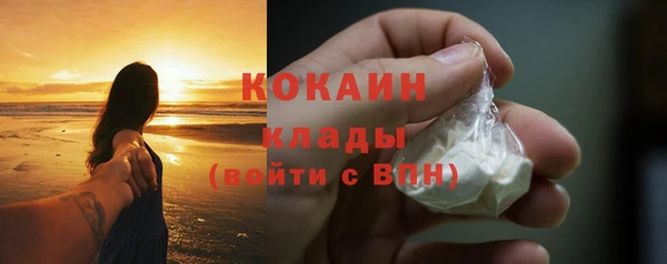 мяу мяу мука Лабытнанги