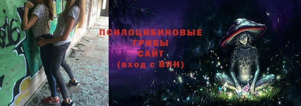 метадон Ладушкин