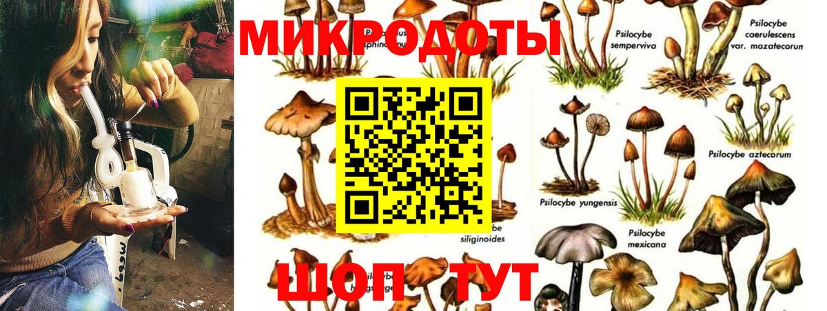 Кызыл  Псилоцибиновые грибы мухоморы  Вход с VPN 